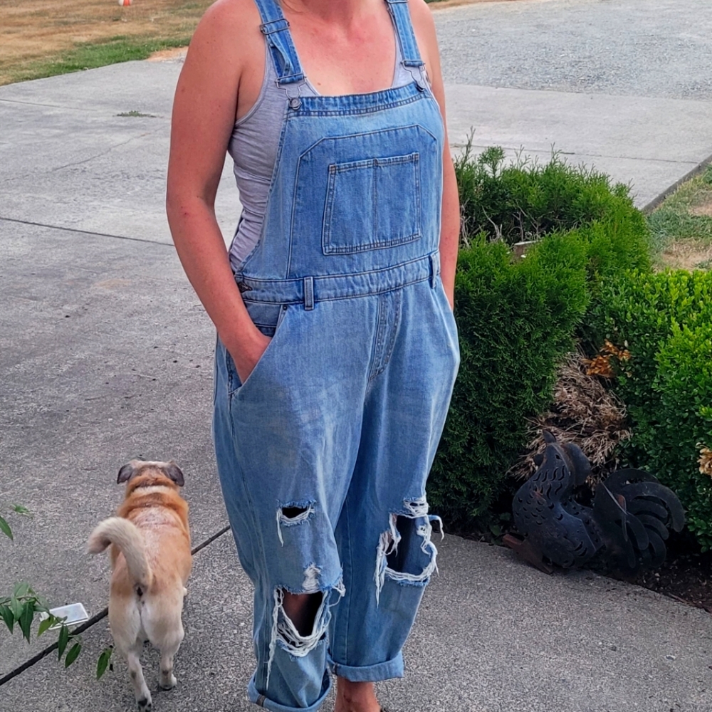 Wild fable distress overalls